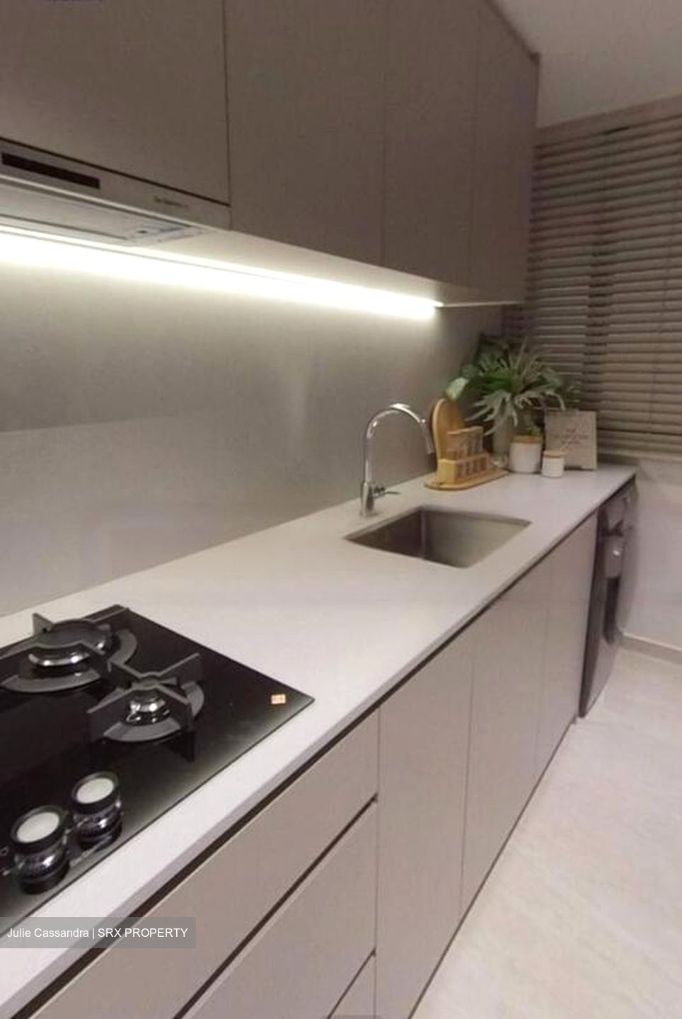 Terra Hill (D5), Apartment #456059001